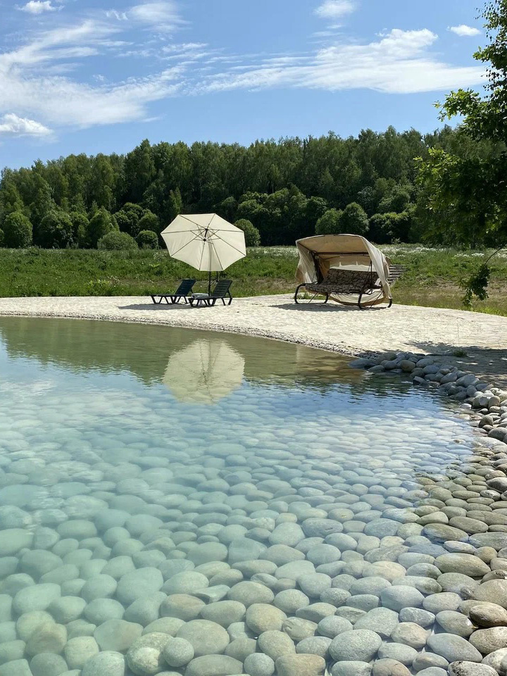 Территория усадьбы Ягодное, прудик с чистой водой