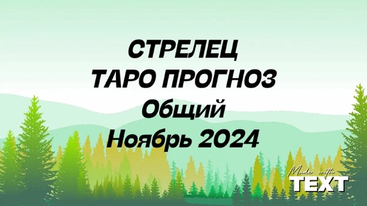 СТРЕЛЕЦ. Таро Прогноз общий ноябрь 2024.