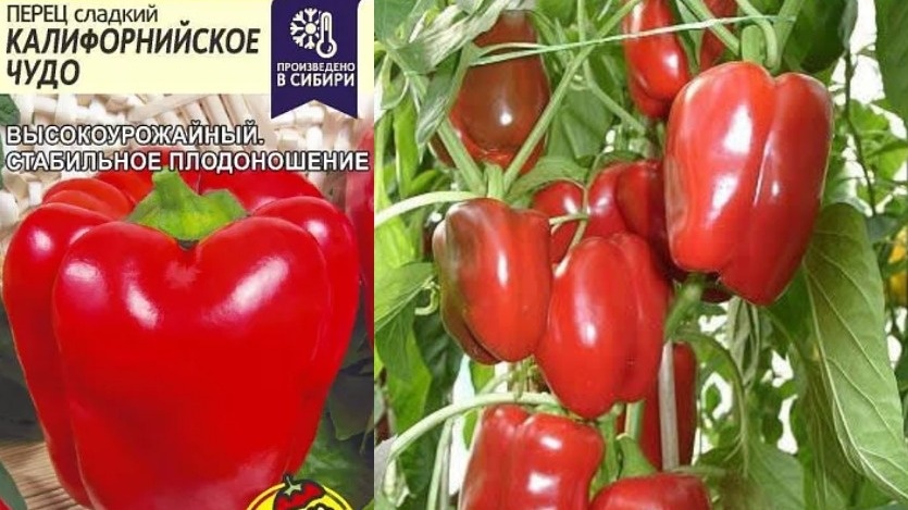 Калифорнийское чудо