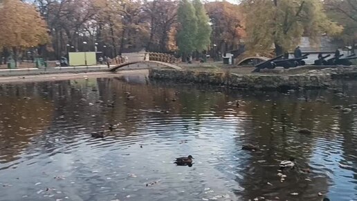 На пруду утки. . На скамейке удобно устроила, Баба Яга. Приглашает всех посидеть. Золотая осень 🍁🍂🍃С шикарной музыкой погуляем со мной.