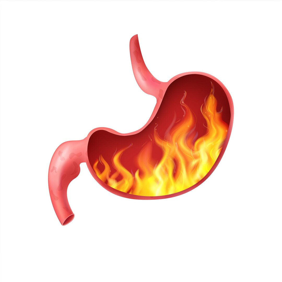 Designed by Freepik 🔗www.freepik.ru