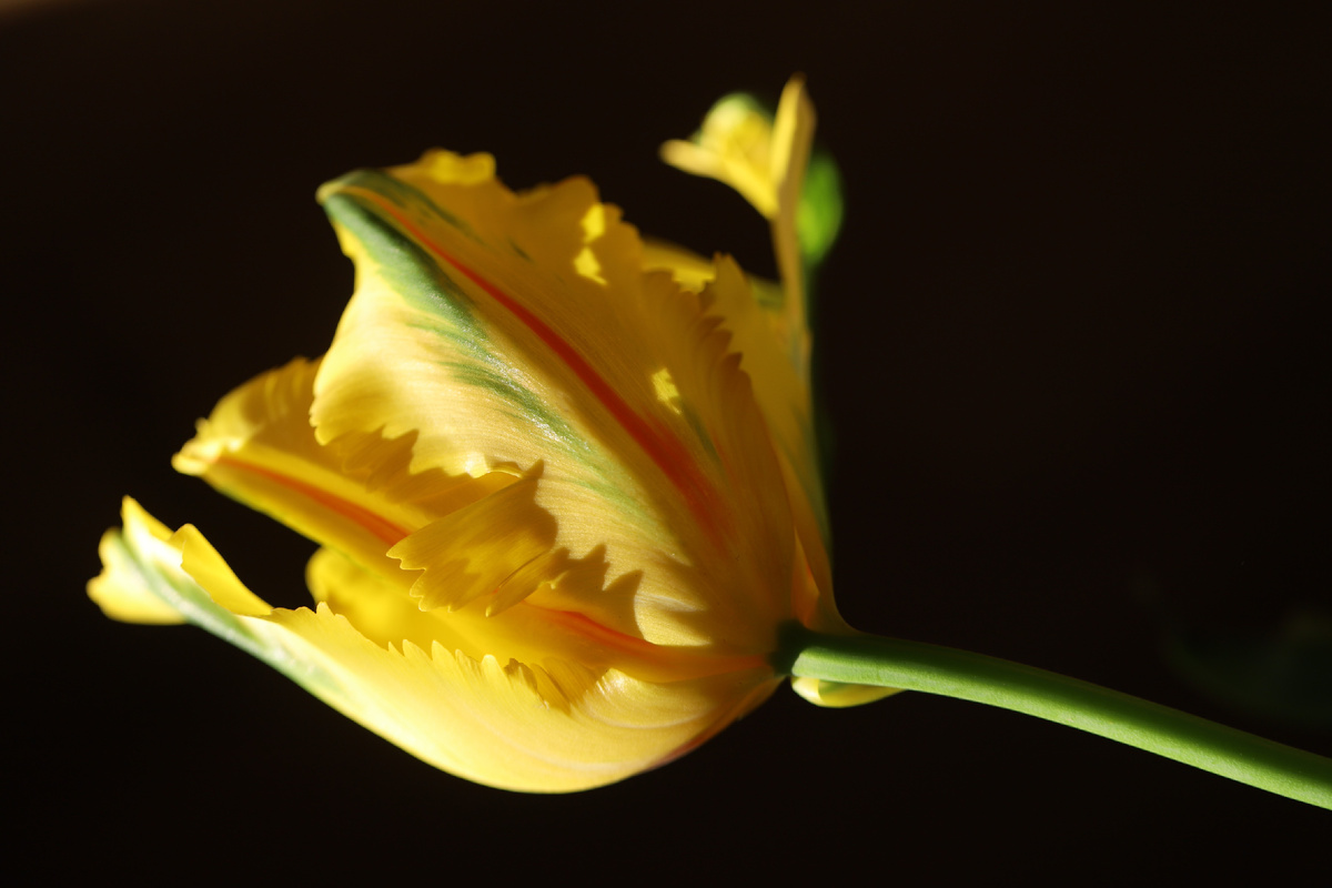 Картинка из инета в свободном доступе.