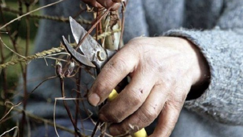 Демонстрация правильной обрезки