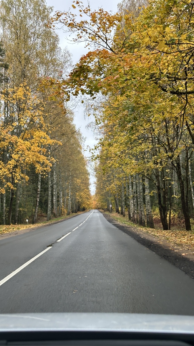 Поймали за хвост золотую осень
