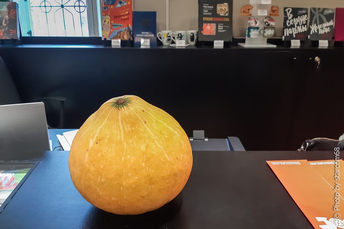 Однажды в нашем музее появилась тыква. Пролистывайте альбом вправо