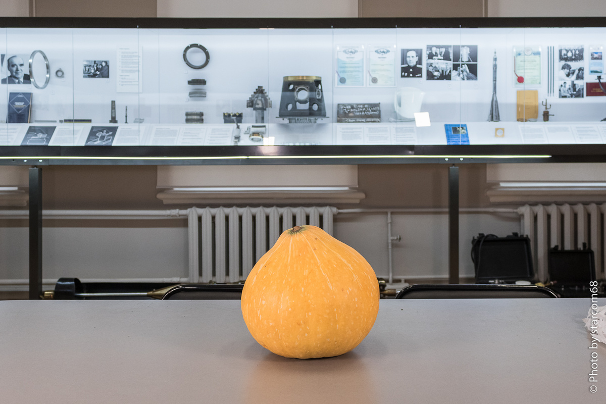 Некоторое время она кочевала по музею