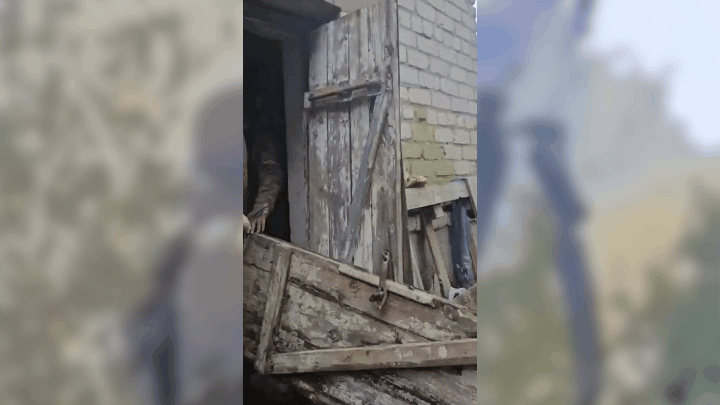    GIF: ТГ-канал Kotsnews