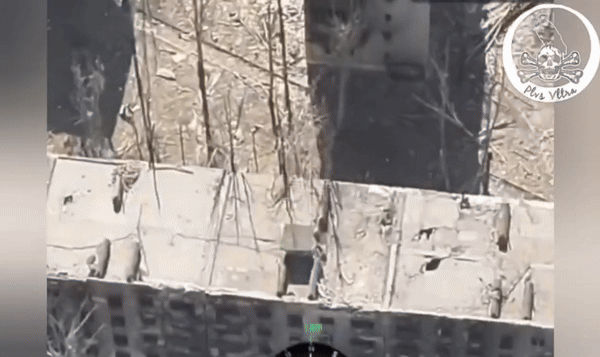    GIF: ТГ-канал "Славные парни"