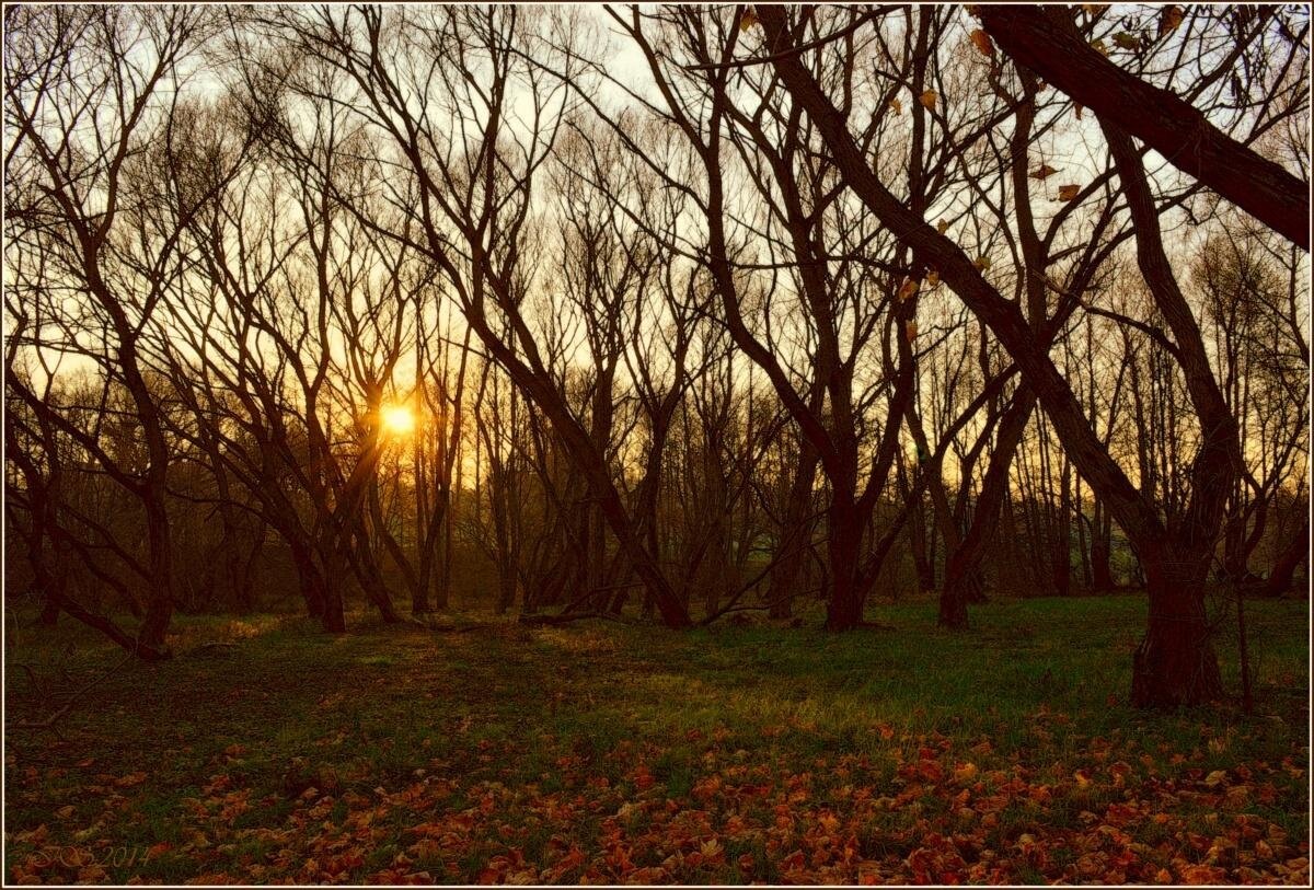 Изображение из открытых источников