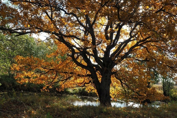 Изображение из открытых источников