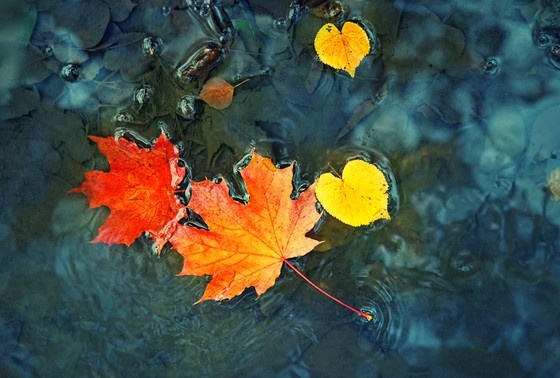    Праздники 24 октября 2024 года