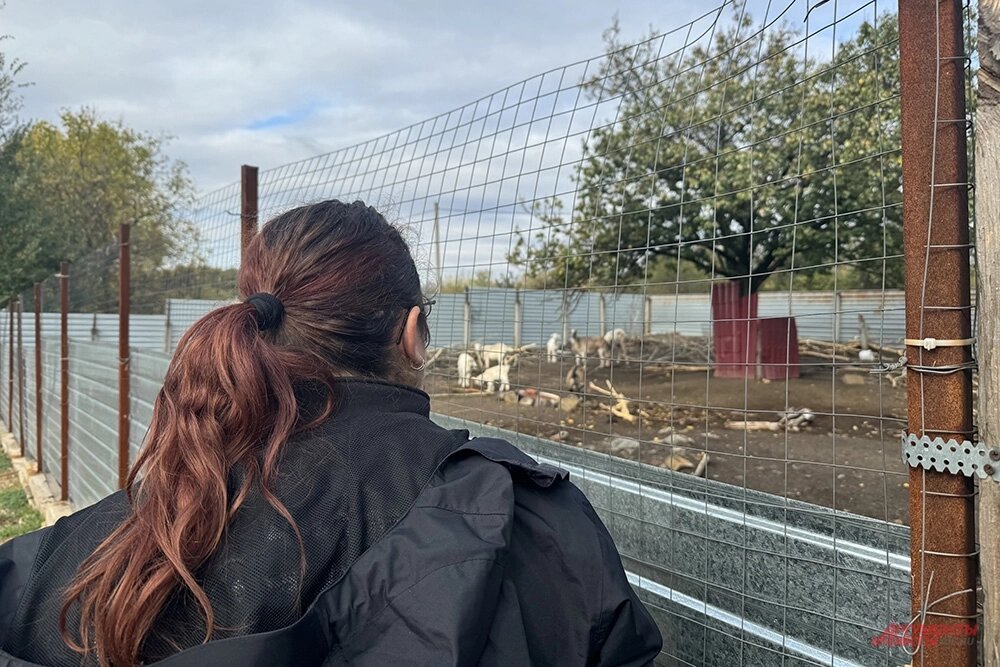    Фото:  АиФ/ Дмитрий Григорьев