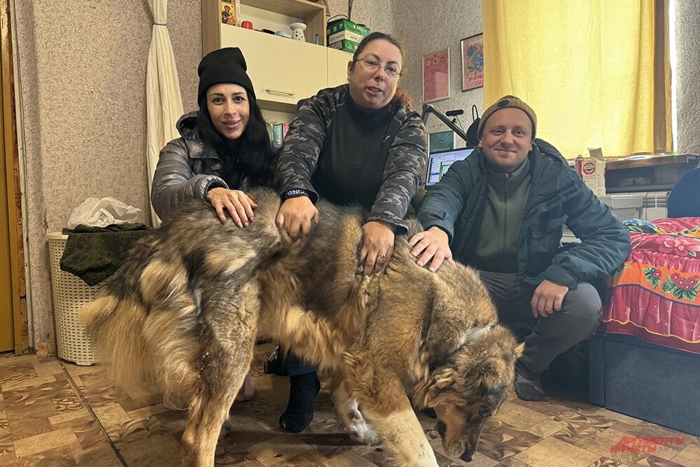    Фото:  АиФ/ Дмитрий Григорьев