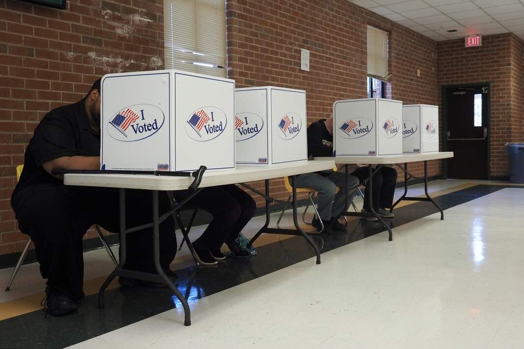 Фото: Global Look Press/Sue Dorfman