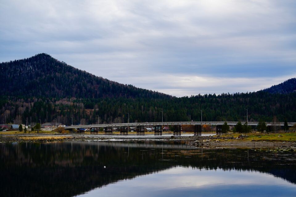    Мост через Бию . Источник: Андрей Сороко / "Толк"