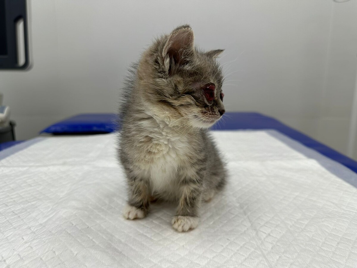 Тасюша в день спасения 