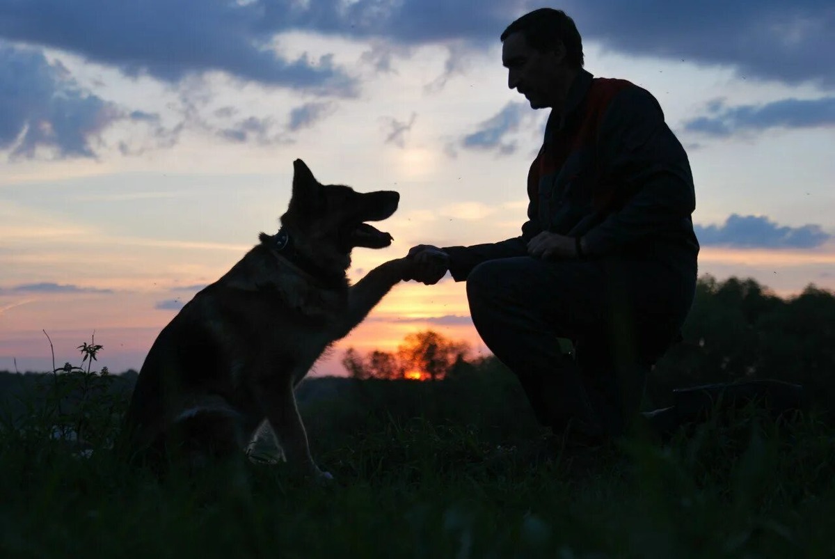 Изображение взято из открытых источников интернета. 