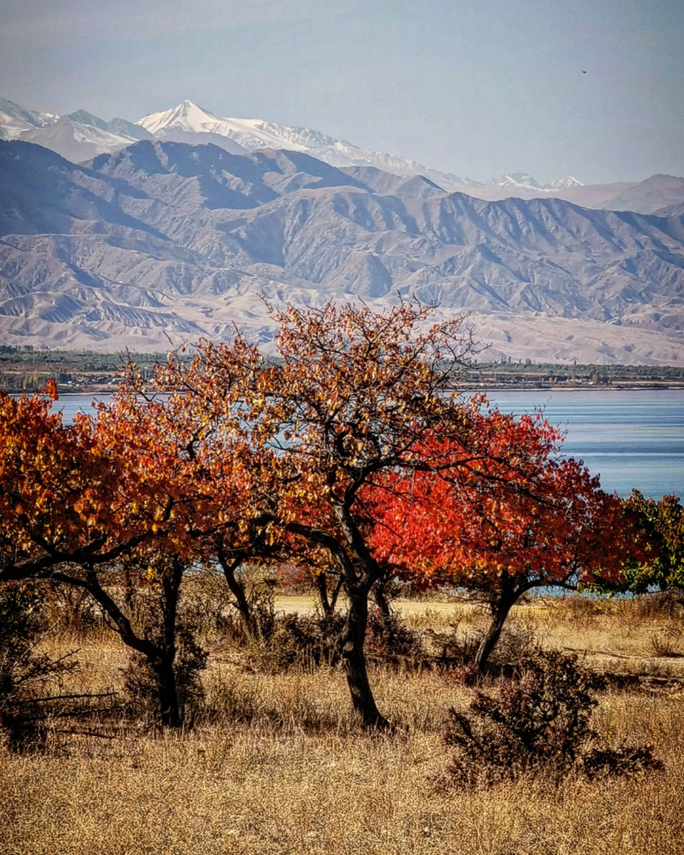 Природа Кыргызстана