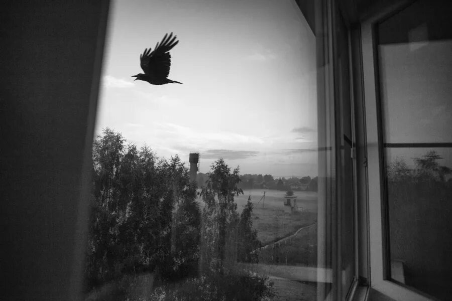 Изображение взято из открытых источников интернета. 