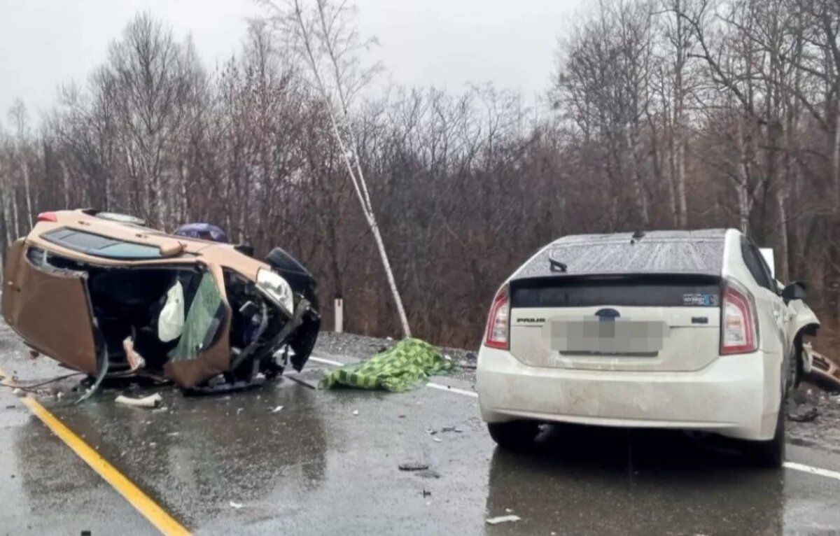    Раскрыты детали жуткого ДТП с гибелью хабаровчанки и 5 пострадавшими