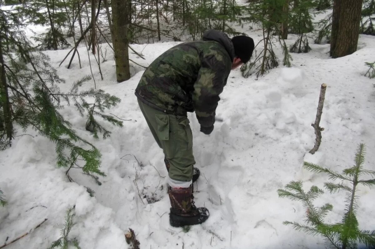    На Алтае пауки адаптировались к суровому климату и низким температурам