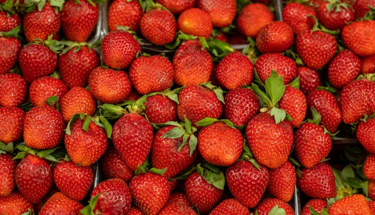  Изображение от user15285612 на Freepik