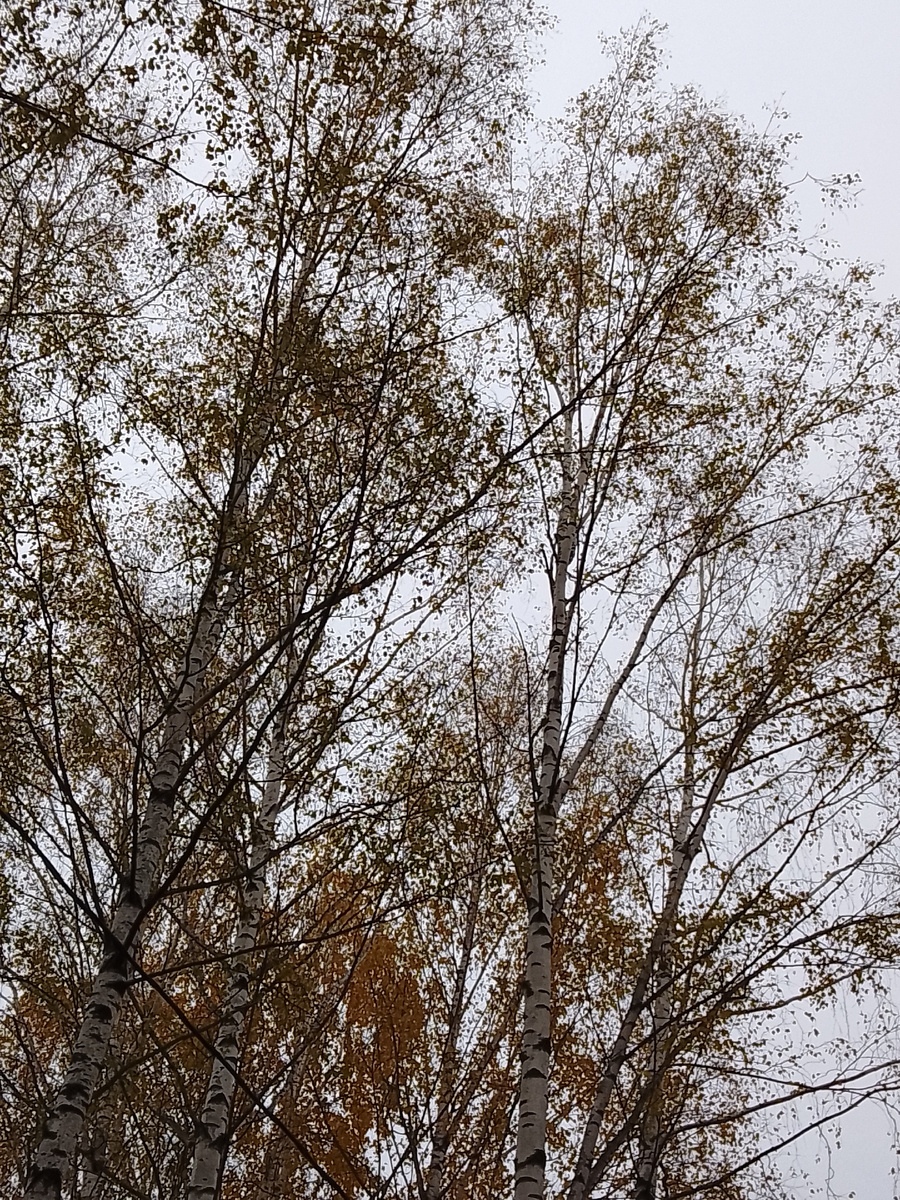 Источник: личное фото