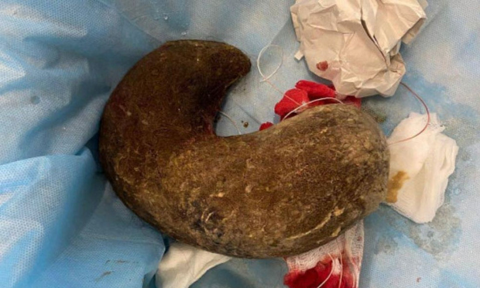 Фото: минздрав Новосибирской области