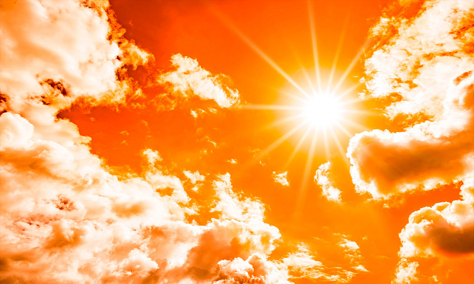 Фото с сайта vecteezy.com