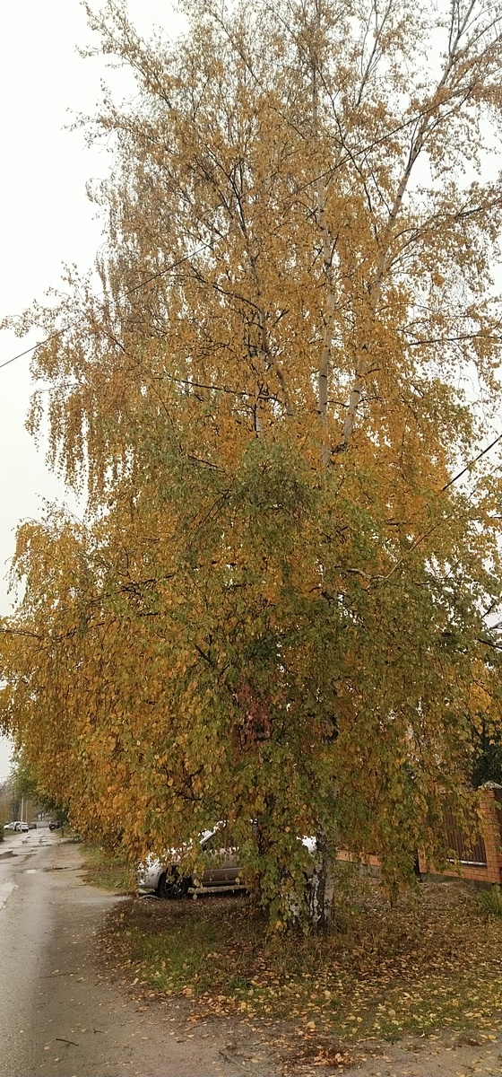 Личное фото