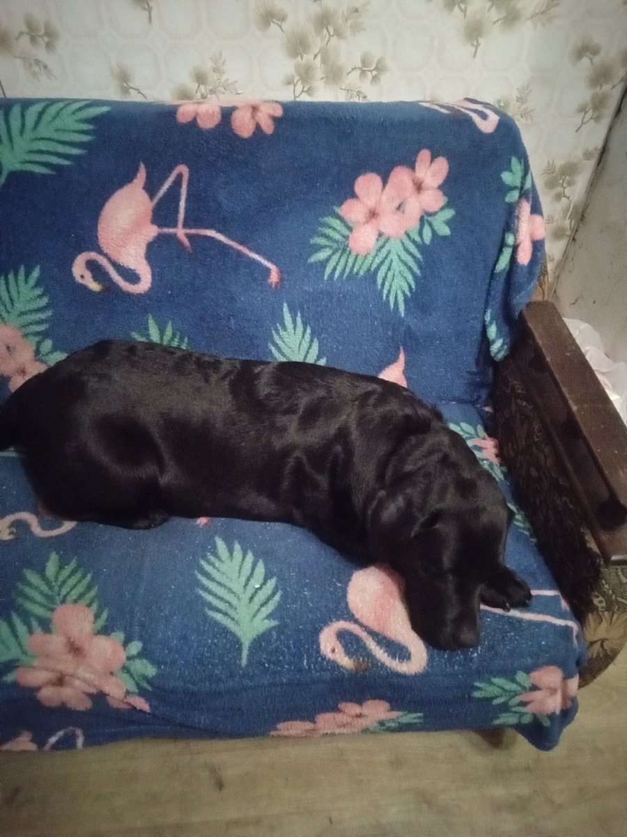 Фото автора.