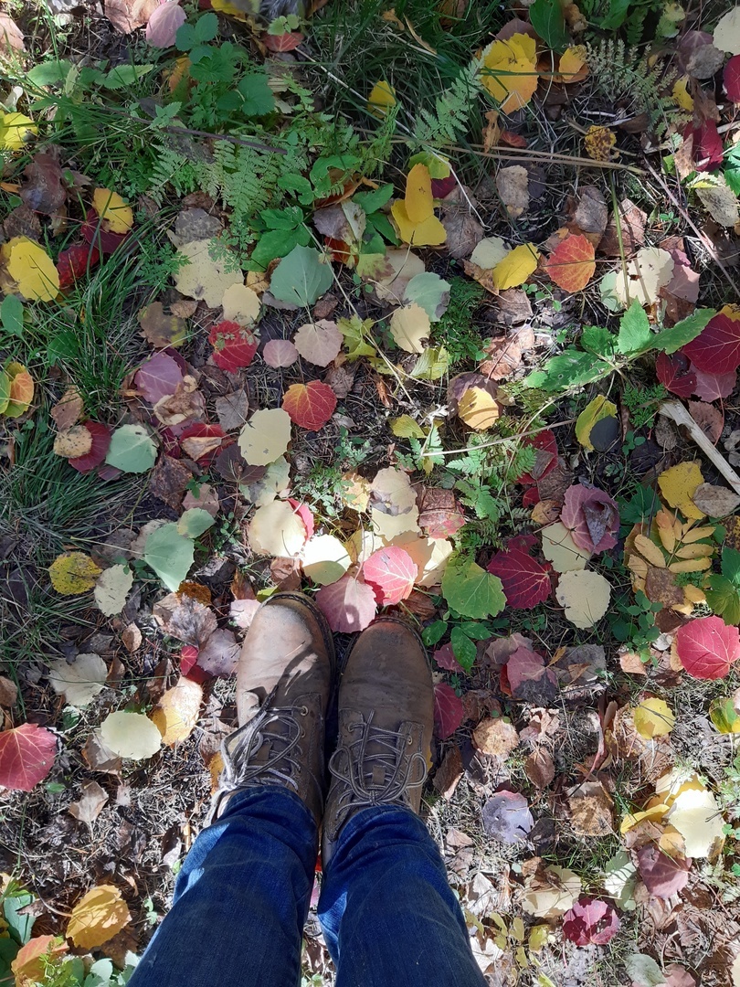Красота не только вокруг, но даже под ногами!