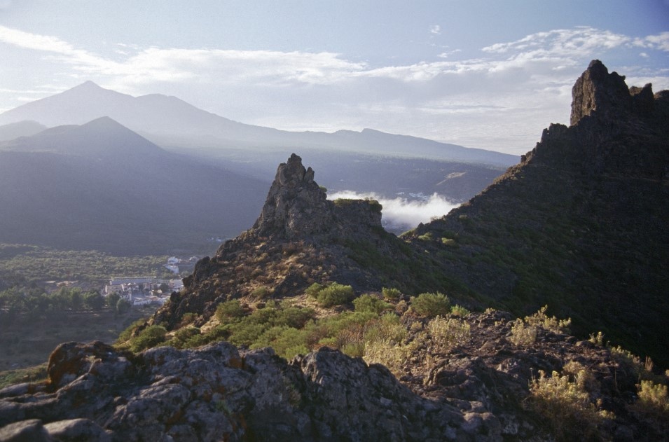    Фото: Dmitriy Puzyrev/Russian Look/Globallookpress