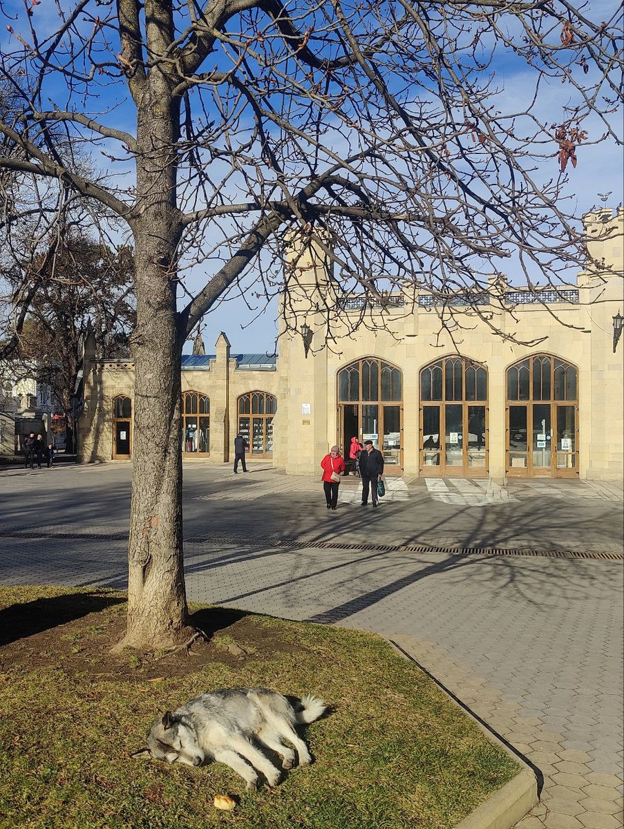 Листайте вправо, чтобы увидеть больше фото