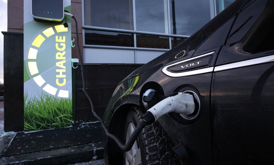    Автор фото: Антон Ваганов / "ДП"