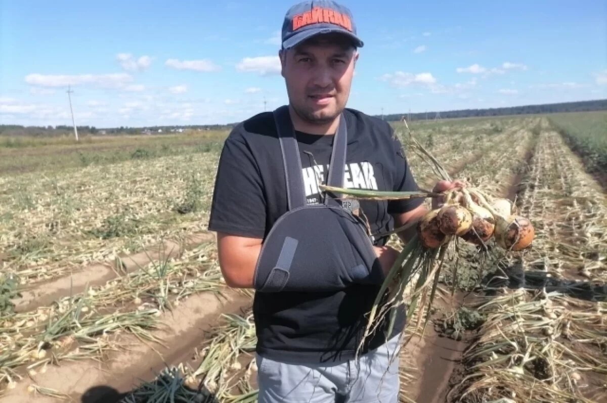    Мелиорация – основа успеха.