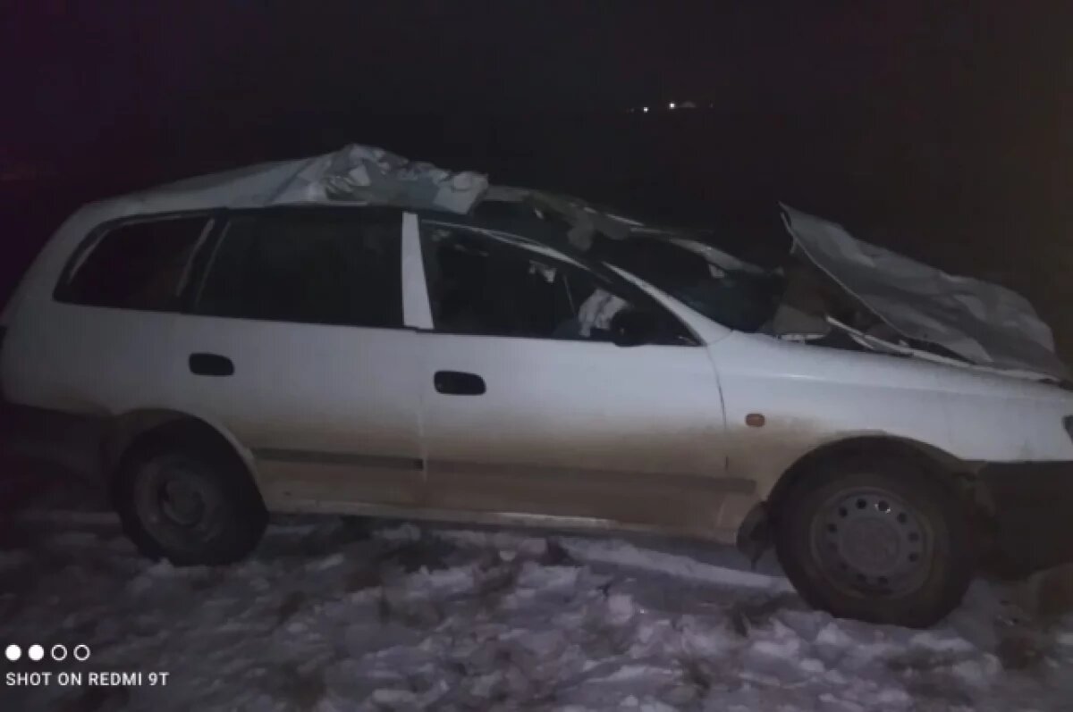    Водитель иномарки скончался после ДТП с лошадью на трассе в Забайкалье