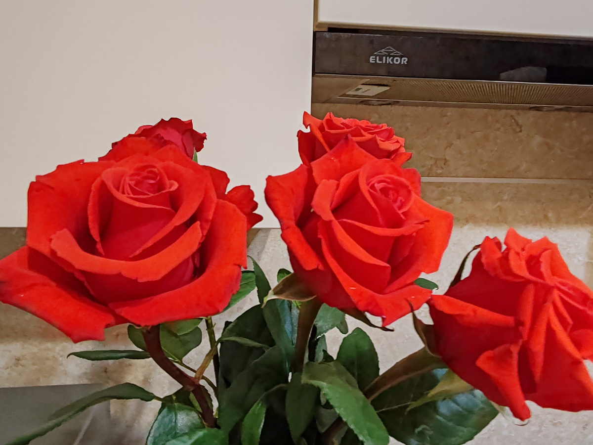 Фото автора канала. 