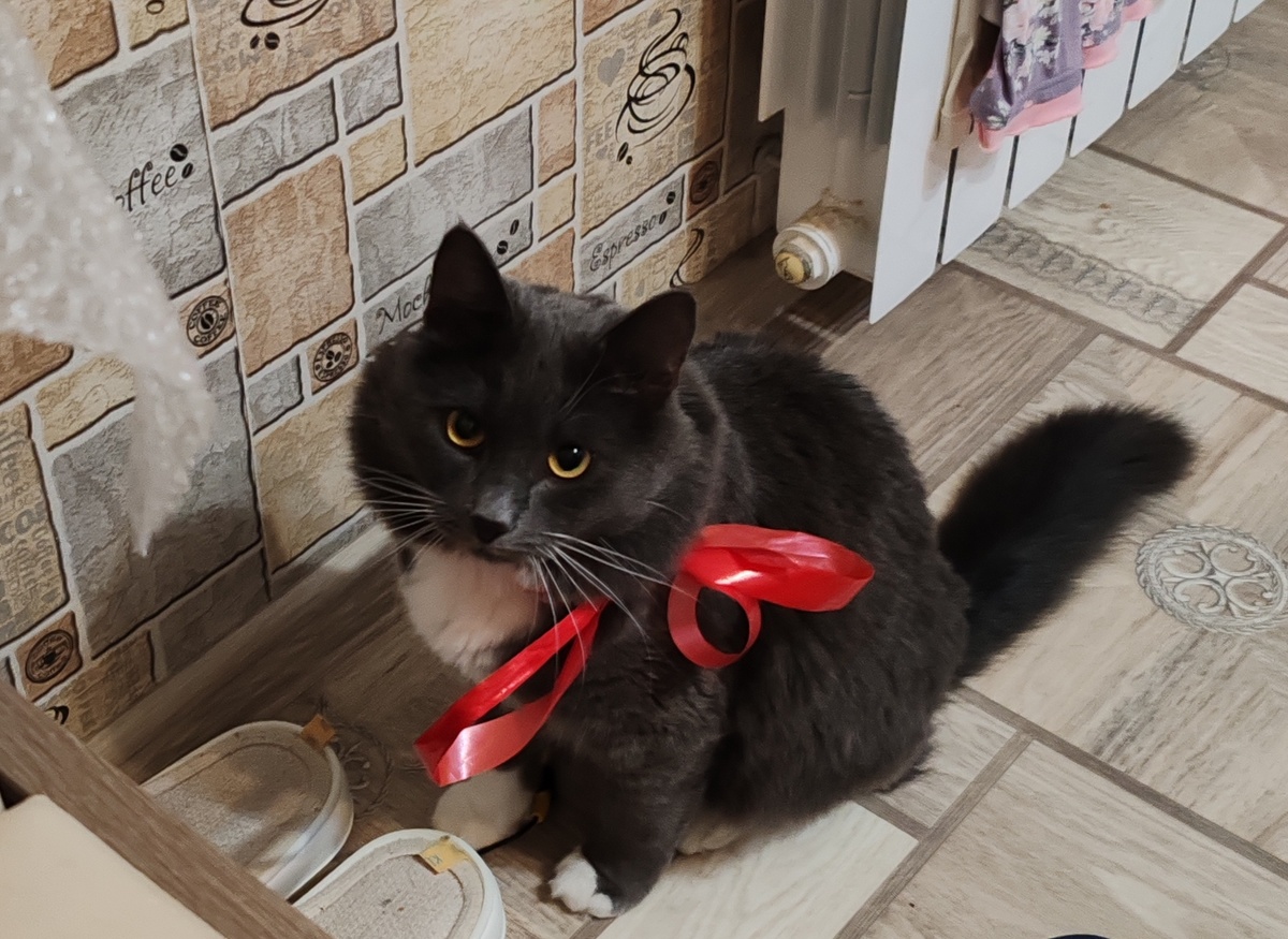 Фото автора канала. 