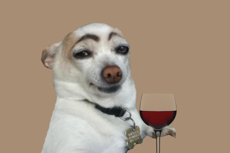 Фото: lifehacker.ru