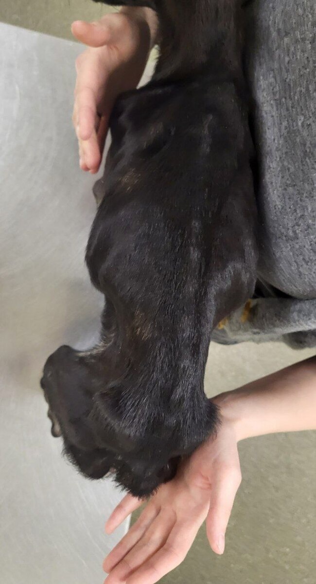 Листайте вправо, чтобы увидеть больше изображений