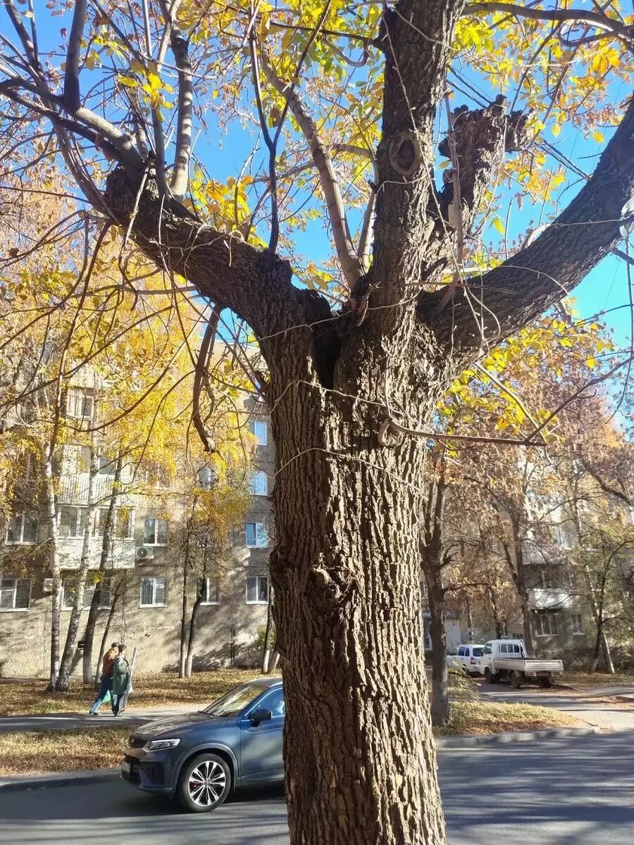     Источник: Илвир Нурдавлятов