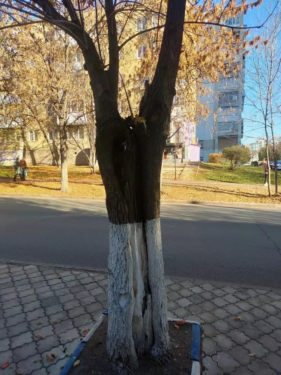     Источник: Илвир Нурдавлятов