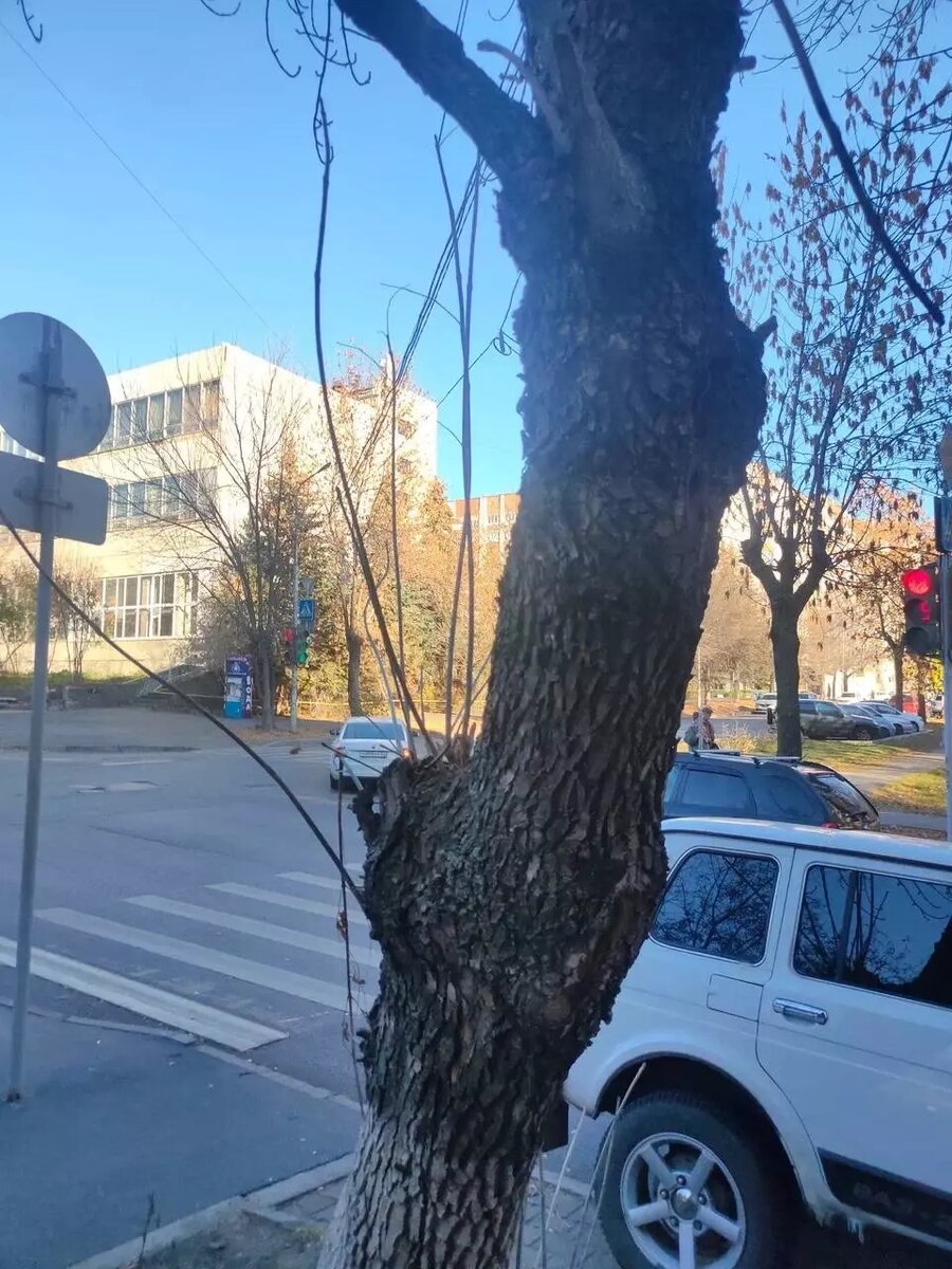     Источник: Илвир Нурдавлятов