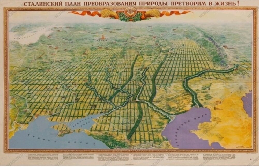    Фото: Из личного архивa/ Владимир Шевченко