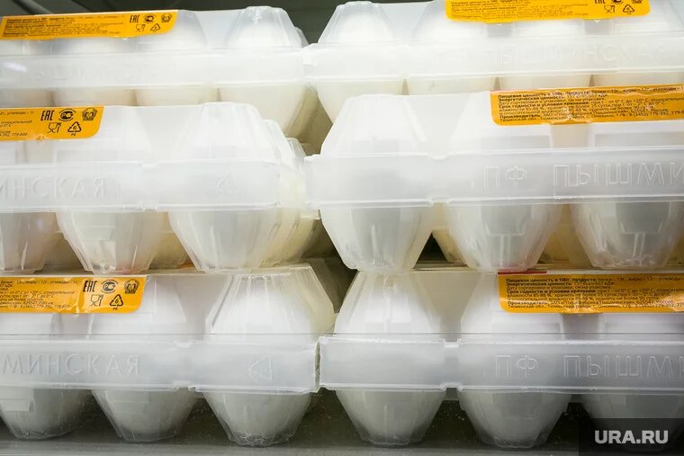 К концу 2024 года цены на яйца вырастут минимум на 5%. Фото: Денис Моргунов © URA.RU