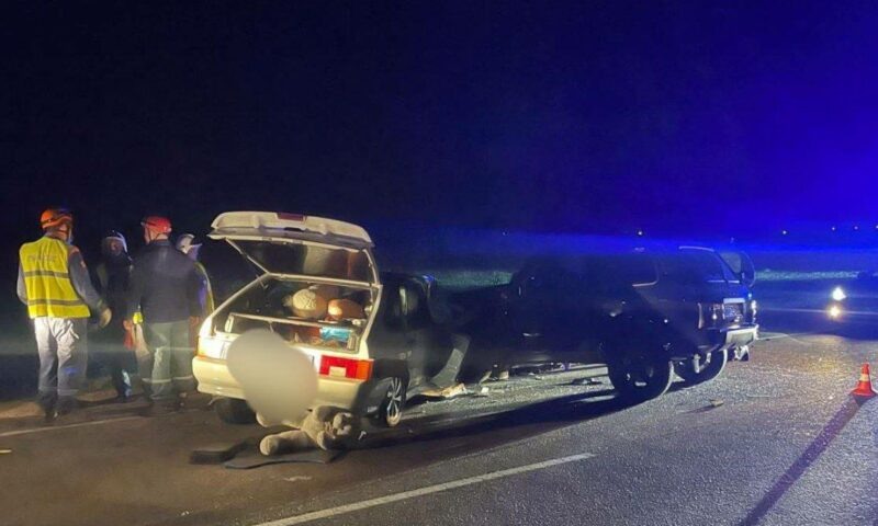    Фото t.me/gibdd123region