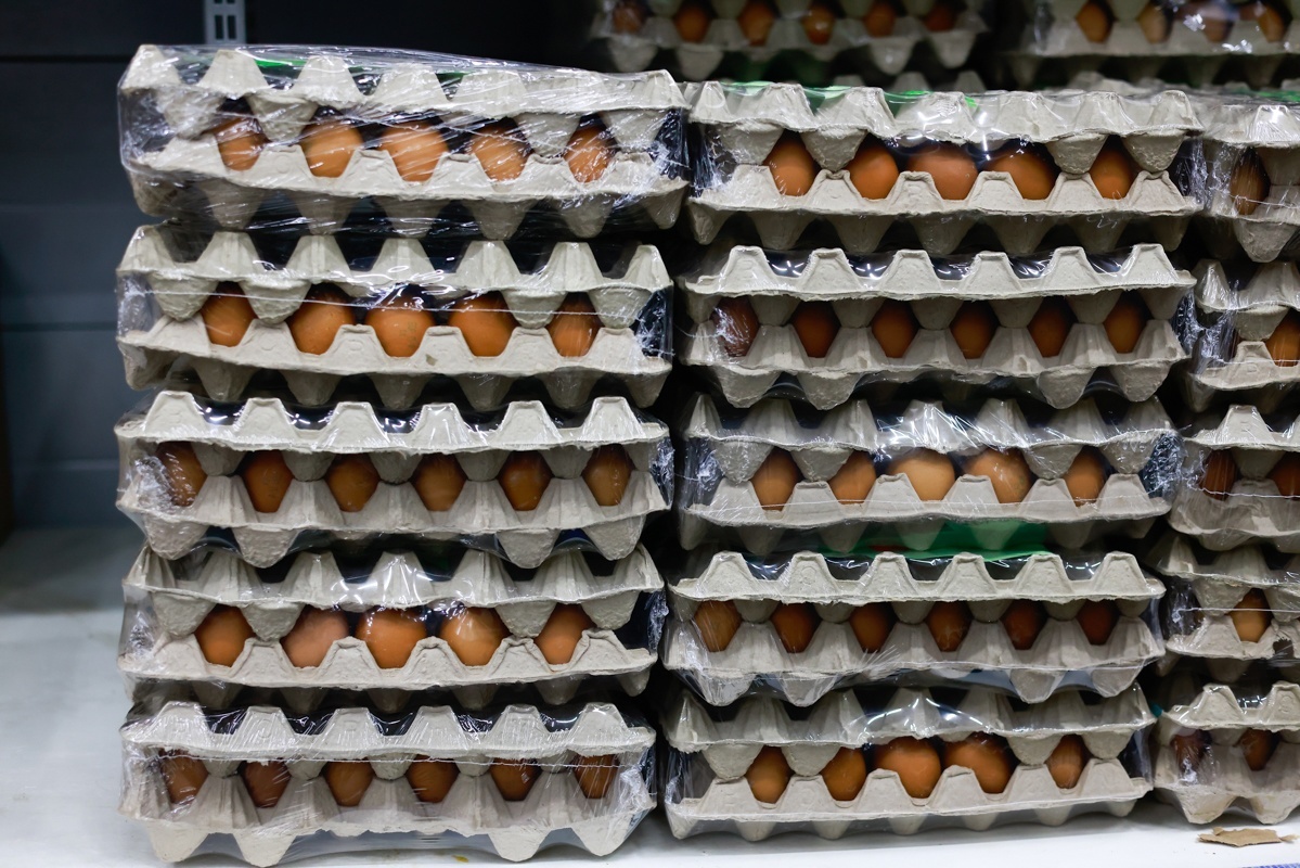 Автор фото: Павел Хацаюк/«Вечерняя Казань» 