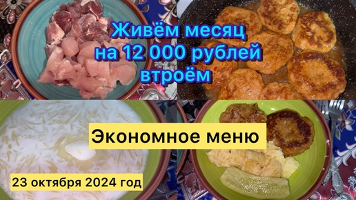 Живём месяц на 12 000 рублей втроём . Экономное меню на семью . 23 октября 2024 год