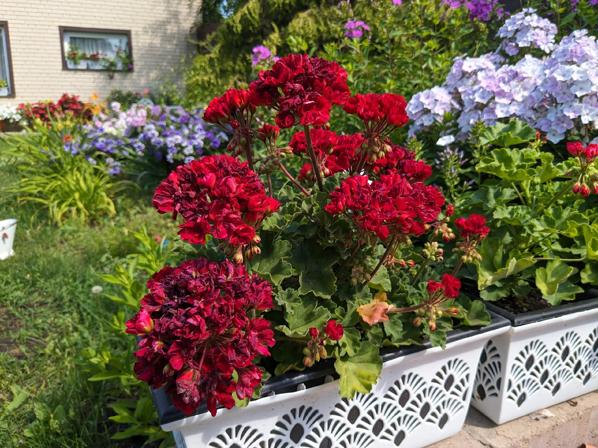 Всё сгорело!